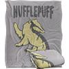 LOGOVISION HARRY POTTER Coperta, super morbida al tatto, 152 x 127 cm