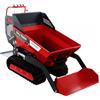 AgriEuro Premium Motocarriola cingolata dumper Ranger H570 HDP - Motore Honda GX200