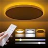 Aphyni Plafoniera LED,24W Ø30cm 3000K-6500K,con oscuramento tramite telecomando,controllo intelligente tramite app,adatta per cucina,ufficio,camera da letto, balcone
