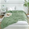 CozyLux Piumino Estivo Matrimoniale, Piumone Leggero 240x260 cm, Trapunta Primaverile 260x240cm in Microfibra Sintetica 150GSM, Piumino Letto Matrimoniale, Morbida e Traspirante, Verde