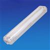 LEDLUX Plafoniera Stagna Doppio Tubo Led T8 60cm X 2 Neon A Led Impermeabile IP65 Esterno Interno