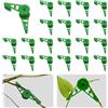 PPGGOPP Clip Piegatrici per Piante 20 Pezzi Clip per piegatrici per piante Clip per Piante Piegatori per Piante a 360 Gradi Clip Sostegno Pomodori per Piegare Le Piante e Cambiare la Direzione (verde)
