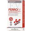 Erba Vita Ferro EV Retard Integratore di Ferro 30 Compresse