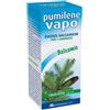 PUMILENE VAPO EMULS 100ML - PUMILENE - 909240501