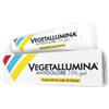 VEGETALLUMINA ANTID%GEL120G10% - VEGETALLUMINA - 041734029