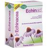 ECHINAID 60CPS ESI - ECHINAID - 906302260