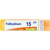 FOLLICULINUM 15CH GR - BOIRON - 800160006