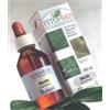 BETULLA FGL 100ML TM - SANGALLI - 906657566