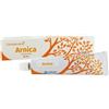 CEMON ARNICA CREMA GEL 60ML CEMON - CEMON - 881503534