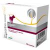 EPATO 1500 PLUS 120CPR CANE - EPATO - 911961098