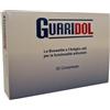 GUARIDOL OSTEO ART 33G - - 913494302