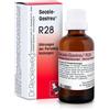 RECKEWEG R28 GOCCE 22ML - DR.RECKEWEG - 909462412