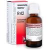 RECKEWEG R42 GOCCE 22ML - DR.RECKEWEG - 909462549