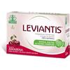 LEVIANTIS AMARENA 16BUSTE - GIULIANI - 936061908