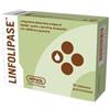 AMNOL LINFOLIPASE 30CPR - AMNOL - 934374859