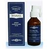 BORAL SPRAY AURICOLARE 100ML - BORAL - 939068146