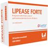 LIPEASE FORTE 20BUST OROSOLUB - LIPEASE - 935311757