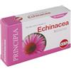 KOS ECHINACEA ESTRATTO SECCO 60CPR - KOS - 905891305