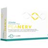 PEANERV BUSTINE 14BUST - - 975346646