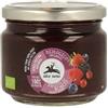 COMPOSTA FRUTTI BOSCO BIO 270G - ALCE NERO - 926821543
