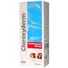 CLOREXYDERM SHAMPOO FORTE200ML - CLOREXYDERM - 901218343