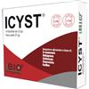 ICYST 14BUST - - 942607589