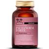 SALUGEA PAUSANORM FORTE UTILE PER LA MENOPAUSA 60 CAPSULE - SALUGEA - 975867767