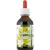 CORIANDOLO TO 100ML - - 930586464