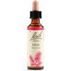 PINE BACH ORIG 20ML - SCHWABE PHARMA ITALIA - 942859950