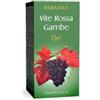 ERBAMEA Srl VITE ROSSA GAMBE GEL 125 ML - ERBAMEA - 934729536