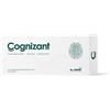 COGNIZANT 10FL - MC STONE ITALIA - 984746103