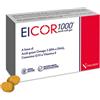 EICOR 1000 30SOFTGEL - - 986034092
