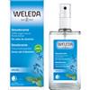 WELEDA DEODORANTE SPRAY SALVIA 100ML - Weleda - 979406877