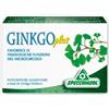 SPECCHIASOL GINKGO PLUS 30CPS - Specchiasol - 901931853