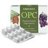 OPC 24CPS VEG S/GL 500MG ERBAMEA