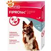Beaphar Dog Fiprotec Spot-On Taglia Media 10-20 Kg - Confezione Da 3 Pipette