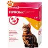 Beaphar Fiprotec Spot-On Antiparassitario per Gatti - Confezione Da 3 Pipette