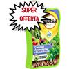 SOLABIOL CONCIME LIQUIDO AROMATICHE & PICCOLI FRUTTI 1 LT BIO