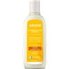 Avena Weleda WELEDA Shampoo Ristrutturante Avena 190 ml