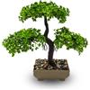 Bonsai finto - Pino giapponese 24,5x25 cm