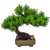 Bonsai finto - Pino giapponese 23x23,5 cm