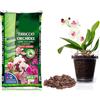 Terra per orchidee con vaso trasparente da 10 litri