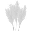 3 Pampas artificiale - bianco con stelo bianco