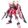 BANDAI Gundam Master Grade MG Model Kit Infinite Justice ZGMF-X19A 1/100 Bandai