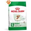 Royal Canin SHN Dog Mini Ageing 12+ - Sacco Da 1,5 Kg