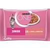 PURINA ONE Junior - Cibo per stucco bagnato, delicati pezzi in salsa con salmone e carote, confezione da 12 (12 x 4 da 85 g)