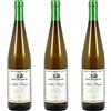 Zeus Party 3 bottiglie di Vino Müller Thurgau Santa Margherita Trentino DOC