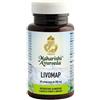 MAP ITALIA LIVOMAP 200 ML