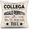 Aosumin Collega abbiamo cercato di trovare il regalo perfetto per te ma tu hai già noi Divertenti copricuscini per colleghi Miglior regalo di compleanno per colleghi Regalo di Natale(collega-b)