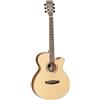 TANGLEWOOD Chitarra acustica Tanglewood Discovery Exotic Natural DBT-SFCE-OV
